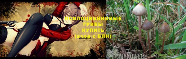 наркотики Новодвинск