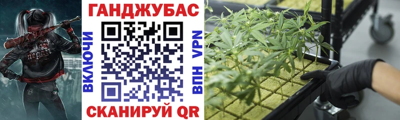 Марихуана VHQ  даркнет сайт  Сальск 